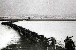 有關抗美援朝的作文開頭