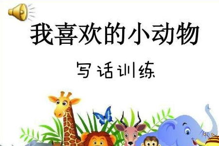 教師小動物作文的開頭