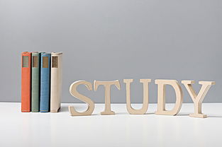 做游戲作文好的開頭和結(jié)尾