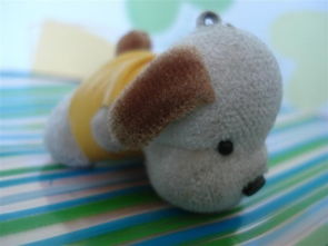 小學讀后感作文的開頭與結尾