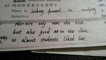 初一作文有你陪伴真好的開頭