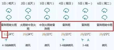 關于雨的范文(關于讀雨作文)