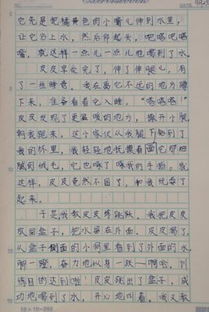 倒敘作文開頭關于動物