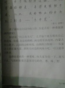 你喜歡的一道美食作文600字作文開頭