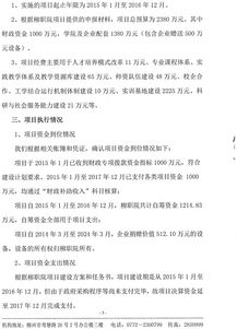 工程項目審計報告范文(工程項目跟蹤審計報告)