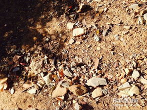 作文冬季景象開(kāi)頭怎么寫(xiě)