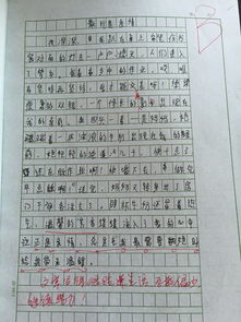 作文親人的開頭結(jié)尾優(yōu)美的句子