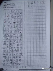 我的媽媽作文怎么開頭怎么寫