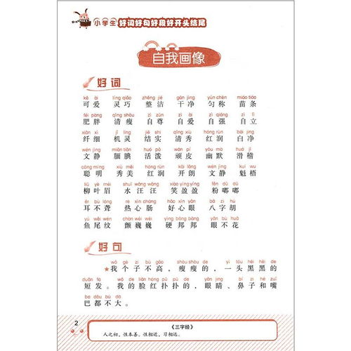 小學生作文好開頭例文