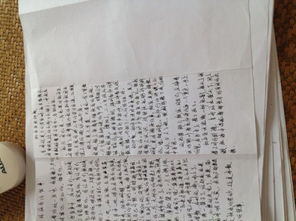 幸福的伴我行中學(xué)作文600字作文開頭