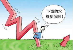 債券市場(chǎng)及其分類(話語信息及其分類)