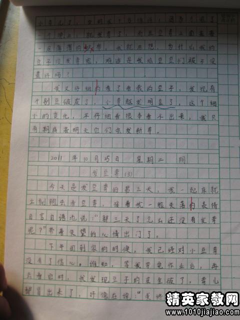 綠豆的成長(zhǎng)日記的作文開(kāi)頭