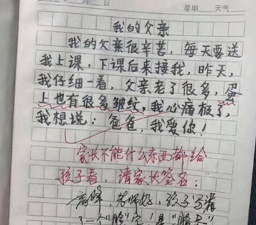 其實我很懂你老師作文600字作文開頭