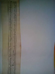 心靈的抉擇600字作文開(kāi)頭