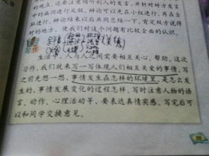 寫心靈美題材作文開頭