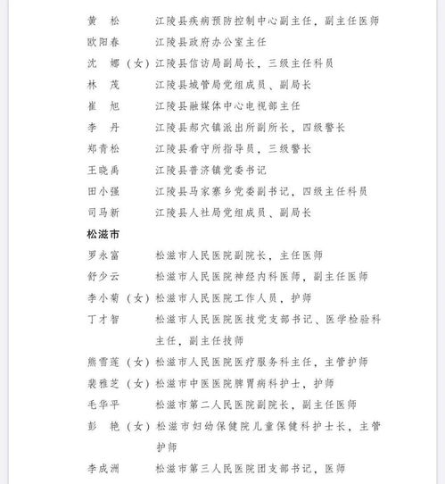 以致敬英雄為主題的作文開頭