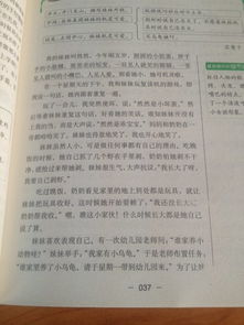 三級作文一件小事作文的好開頭結(jié)尾