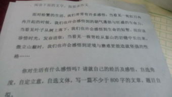 以童為題用感受開頭的作文