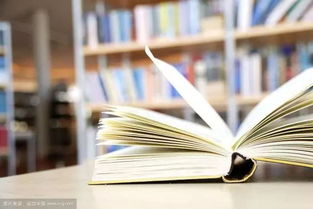 作文開頭我讀過的一篇書