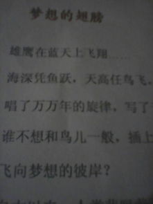 關(guān)于夢想的作文作文開頭