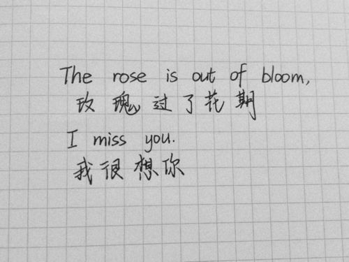 手機一眼就能讓人淪陷的作文開頭