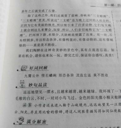 初中夏季寫景作文開頭