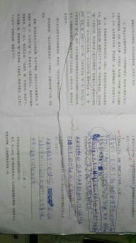 考完試以后作文開(kāi)頭