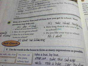 問句開頭的作文100字