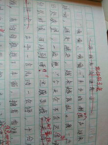 一股暖流作文開頭