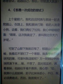 那是一次什么樣的嘗試作文開(kāi)頭結(jié)尾