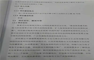 養(yǎng)豬項目可行性報告(環(huán)保項目可行性報告)