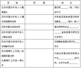 女西裝的實(shí)驗(yàn)報(bào)告(女款西裝搭配)