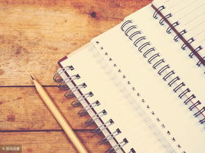 我與父母分歧的作文開頭