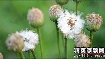 服裝店銷(xiāo)售實(shí)習(xí)報(bào)告(服裝店銷(xiāo)售實(shí)習(xí)報(bào)告)