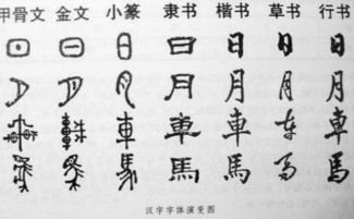 眼縫中的愛(ài)(眼縫中的愛(ài))