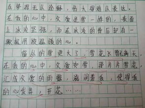 花椰菜的作文的開頭和結(jié)尾怎么寫