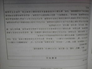 以文化開頭的作文600字作文