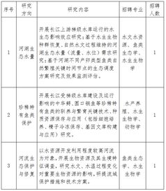 博士后出站答辯決議書(博士后出站后的去向 )