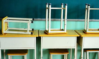 《校園生活二三事》的作文的開頭