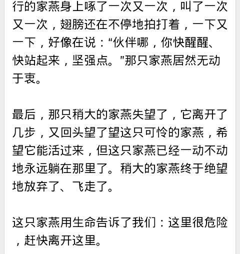 感謝一件事的作文開頭結(jié)尾