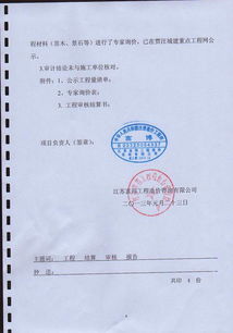 公司審計報告模板(公司審計報告模板)