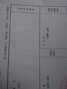 事業(yè)編政審個人總結(事業(yè)人員政審個人總結)