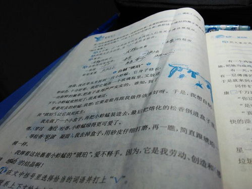 輕輕的告訴你們作文開(kāi)頭