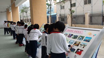 社會實(shí)踐活動成果(社會實(shí)踐活動成果展示會演講稿)