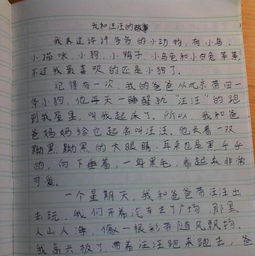 動物的人性作文600字開頭