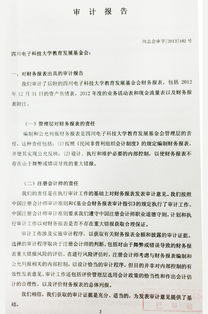 大學(xué)審計(jì)報告格式(審計(jì)報告的格式)