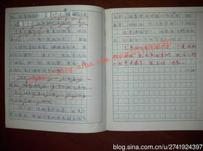 作文為我豎起大拇指開頭