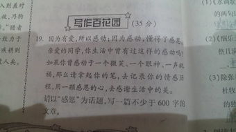 感恩自已的作文600字作文開頭