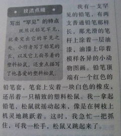 作文我喜歡你聊聊開頭