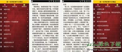 高一優(yōu)秀記事作文開頭結尾